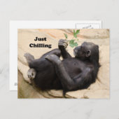 キンプリラックスス ポストカード (正面/裏面)