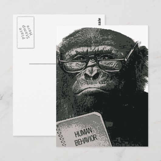 キンプ読ス ポストカード (正面/裏面)