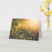 キンボウゲの日没 カード (黄色い花)