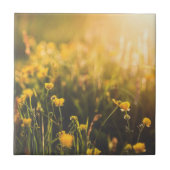 キンボウゲの日没 タイル (正面)