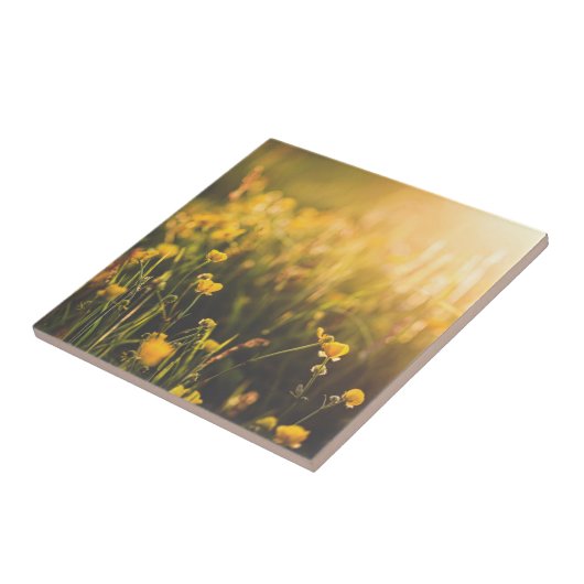 キンボウゲの日没 タイル (側面)