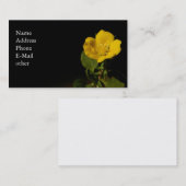 キンボウゲの~の名刺 名刺 (正面/裏面)