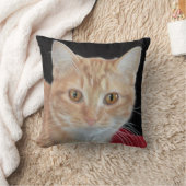 キンボウゲオレンジ虎猫のスケッチの枕 クッション (ブランケット)