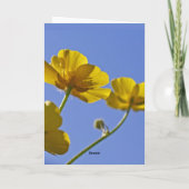 キンボウゲカード カード (裏面)