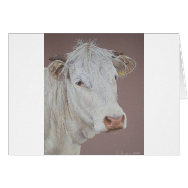 キンボウゲ (正面横)