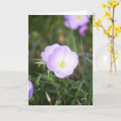 キンボウゲ カード (黄色い花)