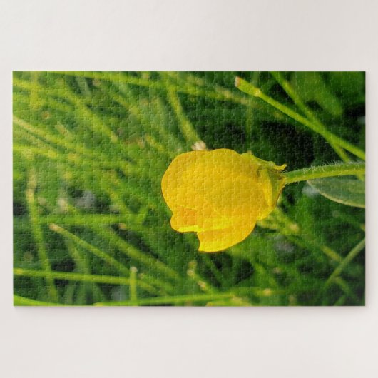 キンボウゲ ジグソーパズル (横)