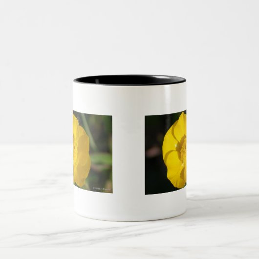 キンボウゲ ツートーンマグカップ (中央)