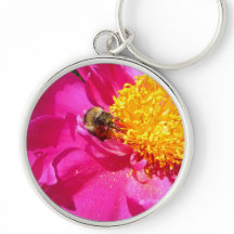 キンポウゲとハチ