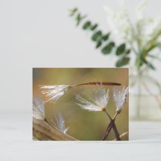 キンポウゲの種は友情と共に、哀悼の意を表す ポストカード (スタンド正面)