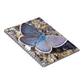 キンポウゲ ノートブック (右側)