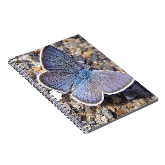 キンポウゲ ノートブック (右側)