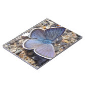 キンポウゲ ノートブック (左側)