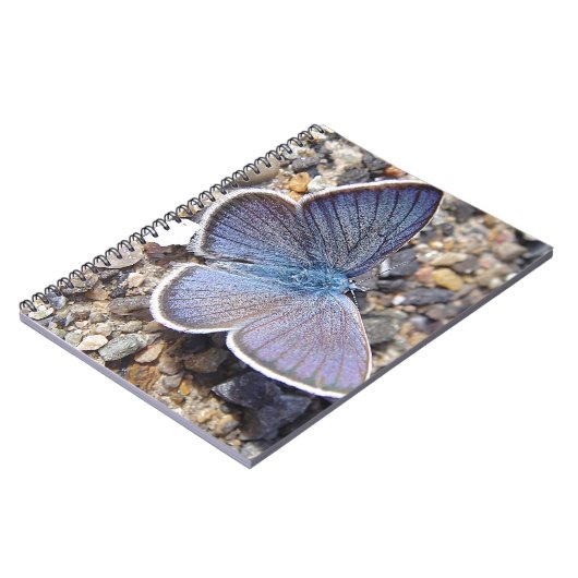 キンポウゲ ノートブック (左側)