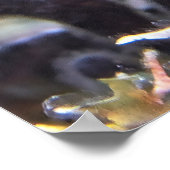 キンポウゲ ポスター (角)