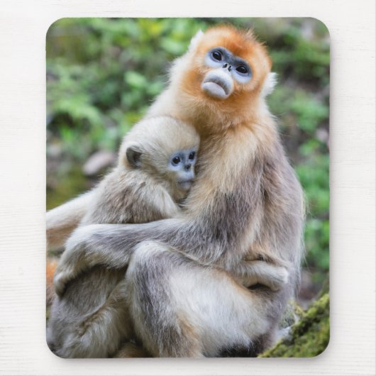 キンメガザルと赤ちゃん マウスパッド (正面)