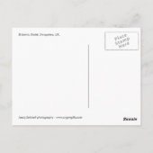 キンレット教会とオルガンモンタージュ ポストカード (裏面)