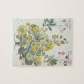 キンレンカおよびデイジー: 1.Nasturtium Indicum; 2.B ジグソーパズル (横)