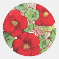 "キンレンカ"のヴィンテージの花のイラストレーション