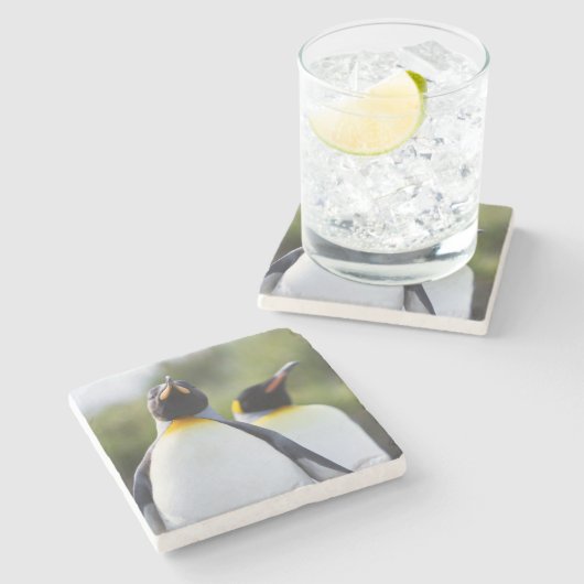 キン誇りを持ったグペンギンの写真 ストーンコースター (横)