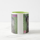 キーウィのスマイルのコーヒー・マグ ツートーンマグカップ (中央)