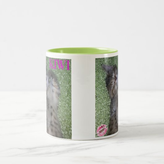 キーウィのスマイルのコーヒー・マグ ツートーンマグカップ (中央)