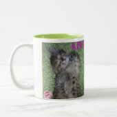 キーウィのスマイルのコーヒー・マグ ツートーンマグカップ (左)