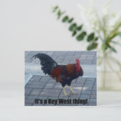 キーウェストあるある! ポストカード (スタンド正面)