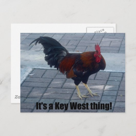 キーウェストあるある! ポストカード (正面/裏面)