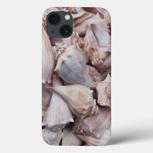 キーウェスト、貝殻 Case-Mate iPhoneケース (裏面)