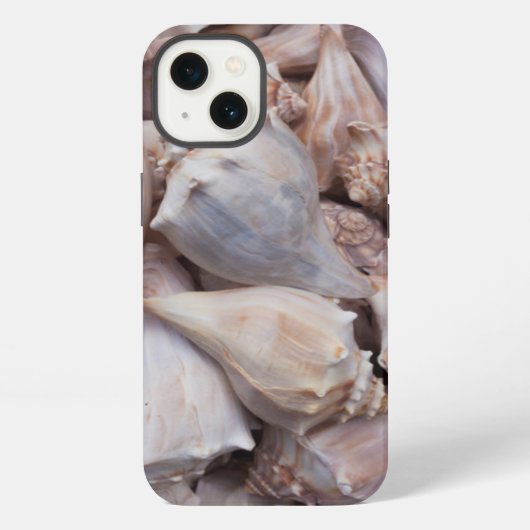 キーウェスト、貝殻 iPhoneケース (裏面)