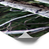 キーキング《植物》アスペングランドテトンナショナルパーク ポスター (角)