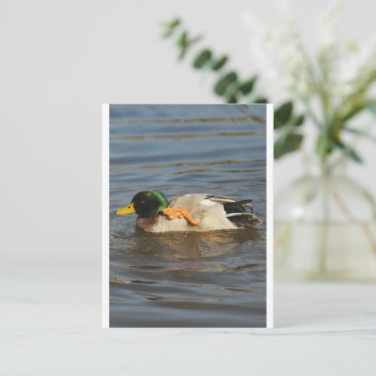 キーキー ポストカード (スタンド正面)