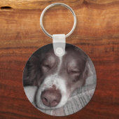 キークスター キーホルダー (正面)