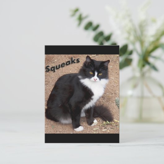 キーク ポストカード (スタンド正面)