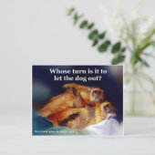 キーストーン プレーリードッグが犬を外に出すミーム ポストカード (スタンド正面)