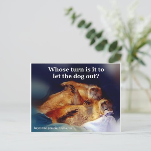 キーストーン プレーリードッグが犬を外に出すミーム ポストカード (スタンド正面)