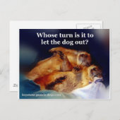 キーストーン プレーリードッグが犬を外に出すミーム ポストカード (正面/裏面)