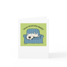 キーソンスポーツの「非品種」