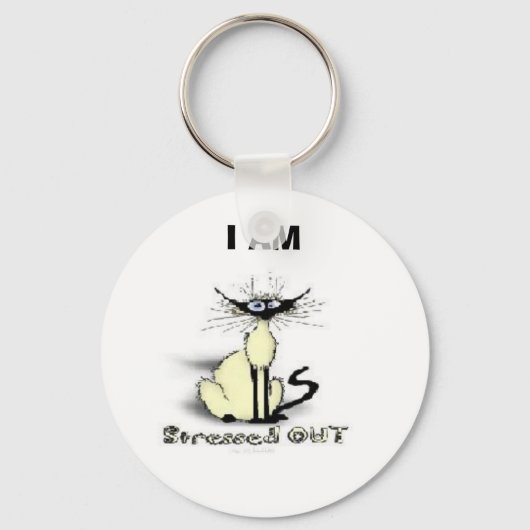 キーチェーンのストレス解消 キーホルダー (正面)