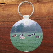 キーチェーンまたはキーリング – 牛 – カラー キーホルダー (正面)