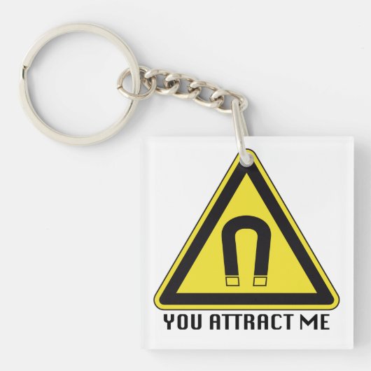 キーチェーンを引き付ける キーホルダー (正面)