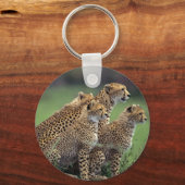 キーチェーンチーテーズ キーホルダー (正面)