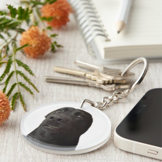 キーチェーンビックドッグミーム キーホルダー (正面右)