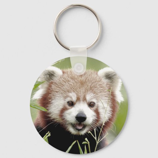 キーチェーン写真赤パンダ。パンダルークス。 キーホルダー (正面)