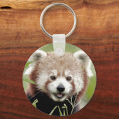 キーチェーン写真赤パンダ。パンダルークス。 キーホルダー (正面)