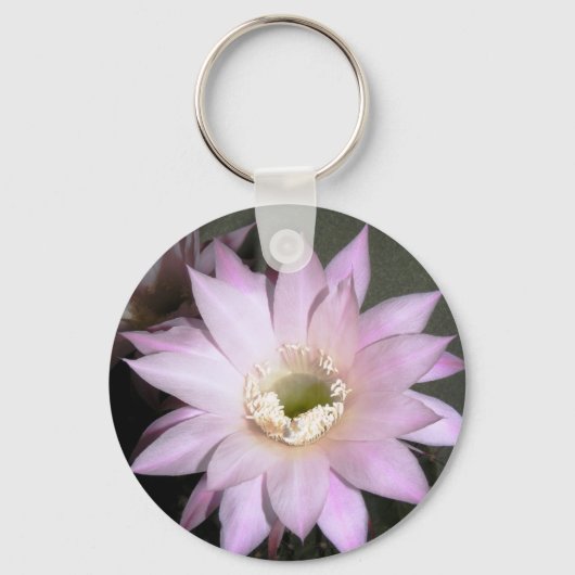 キーチェーン (正面)