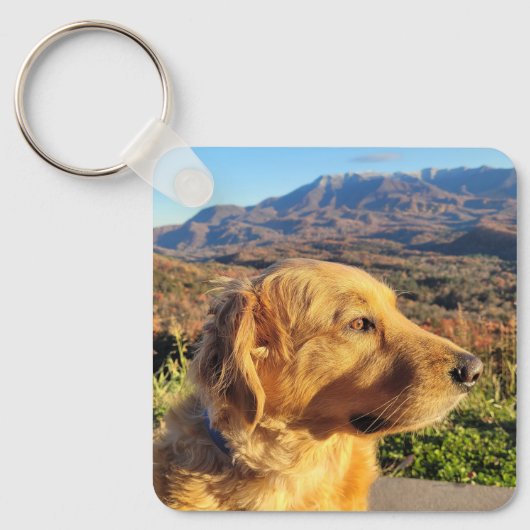 キーチェーン (正面)