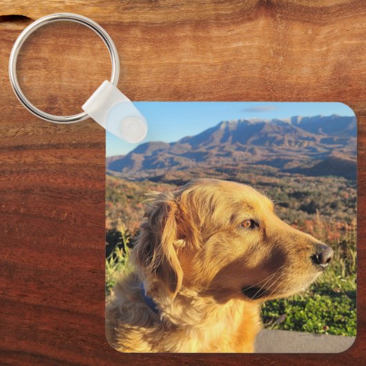 キーチェーン (正面)