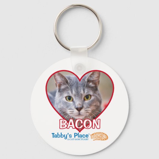 キーチェーン (正面)